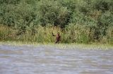 Ethiopia - Lago Chamo - 23